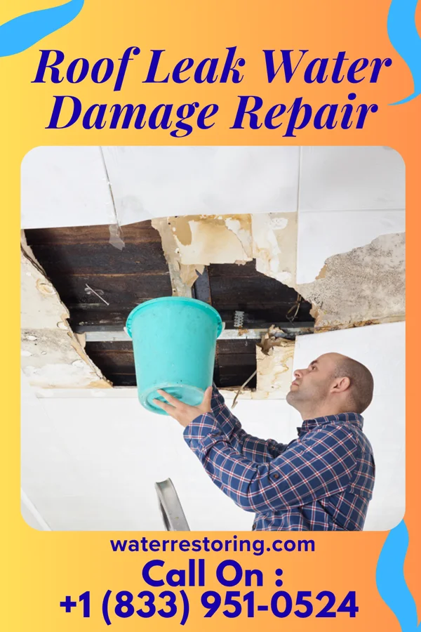 Roof Leak Water Damage Repair in Temple, TX